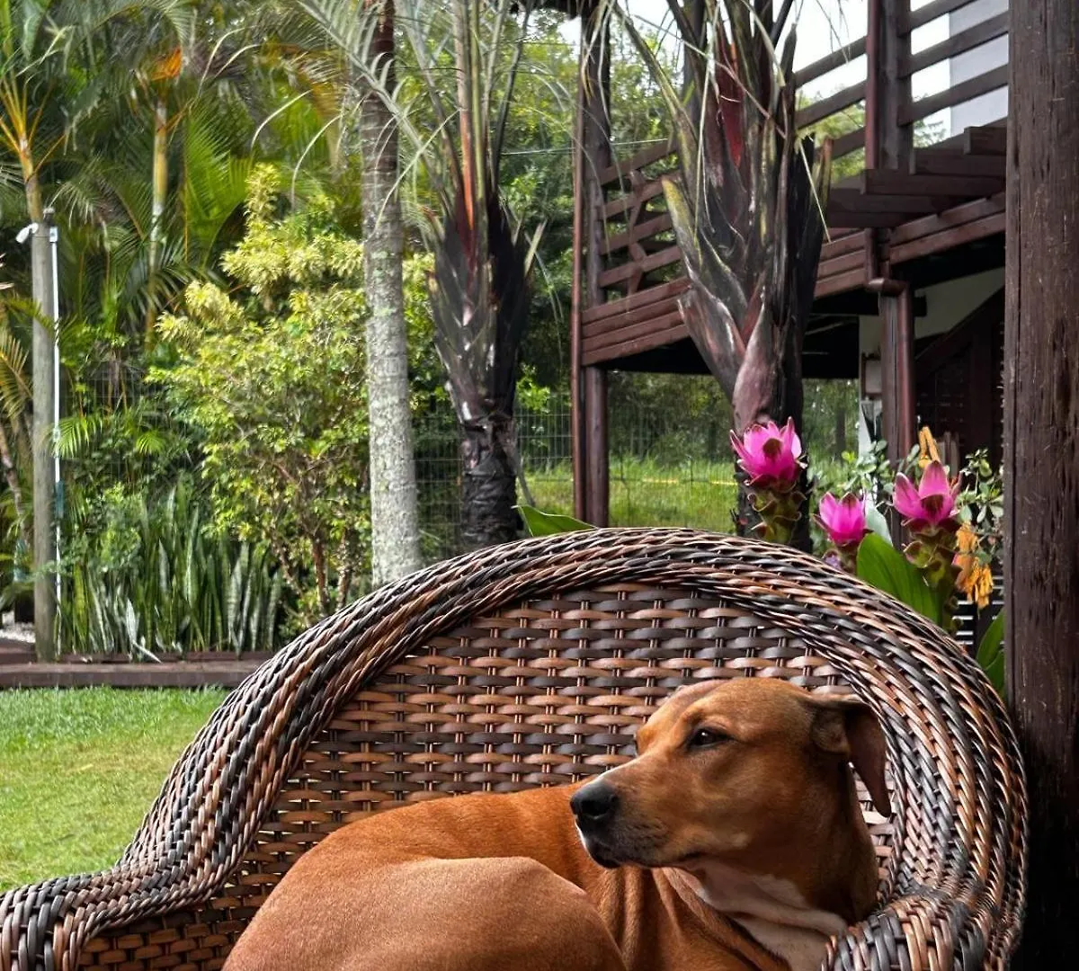 Lodge Studios Malakoopa - Praia Do Rosa
